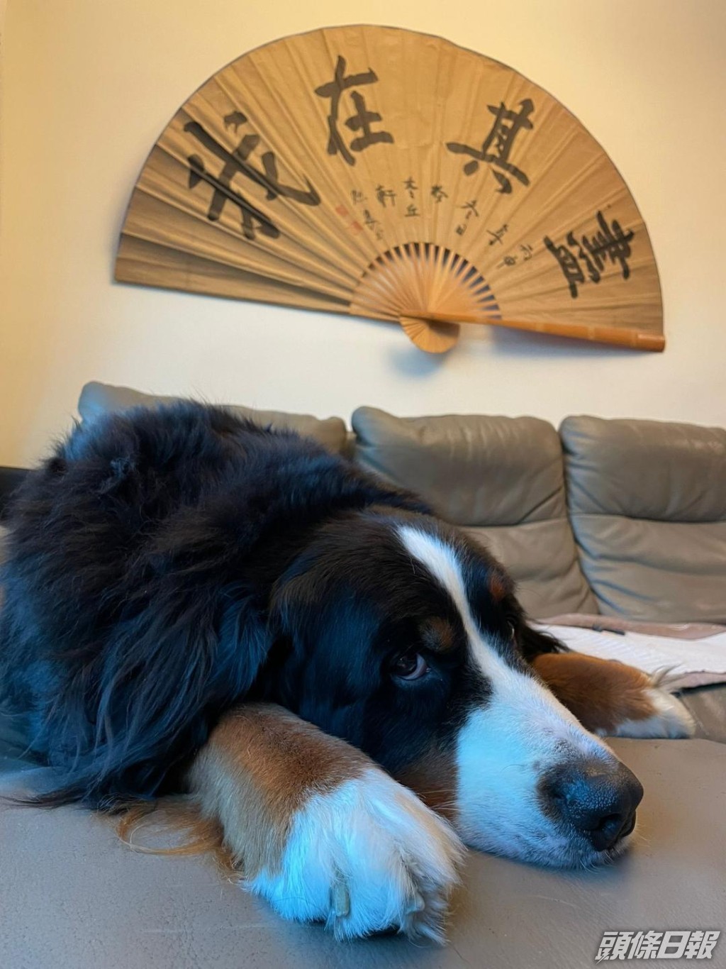 艾威好欣賞李小龍語錄「盡其在我」，笑說疫情下會有好多嘢諗，蓋棺時倒轉寫成「我在其盡」都用得著。